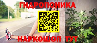 крисы Волжск