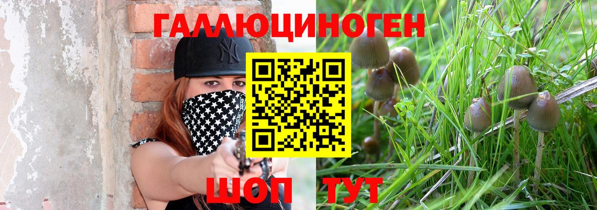 Нерюнгри  Галлюциногенные грибы MAGIC MUSHROOMS  Галлюциногенные грибы GOLDEN TEACHER  Вход с VPN 